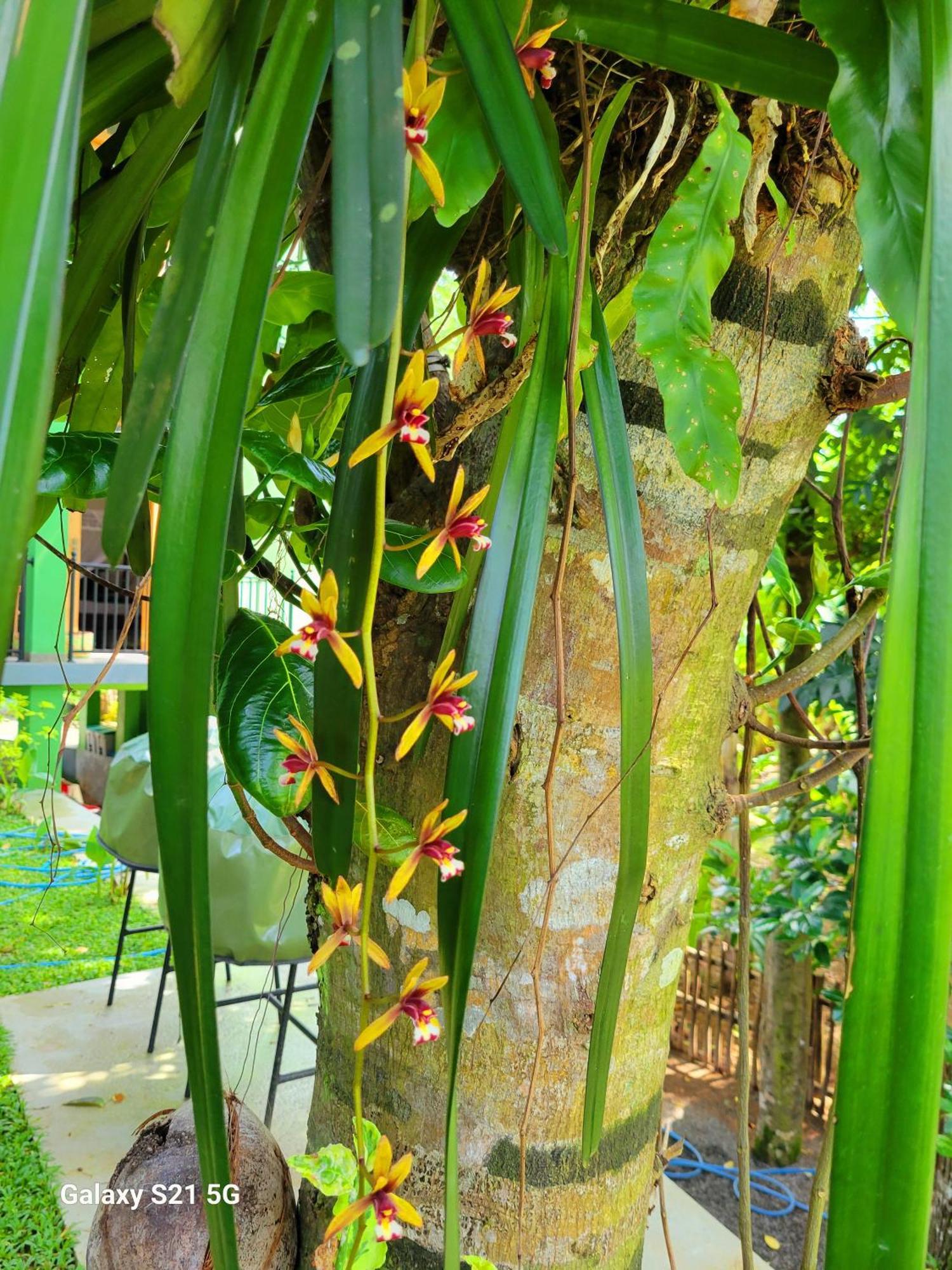 Barefoot Bungalow Hikka Hikkaduwa Esterno foto