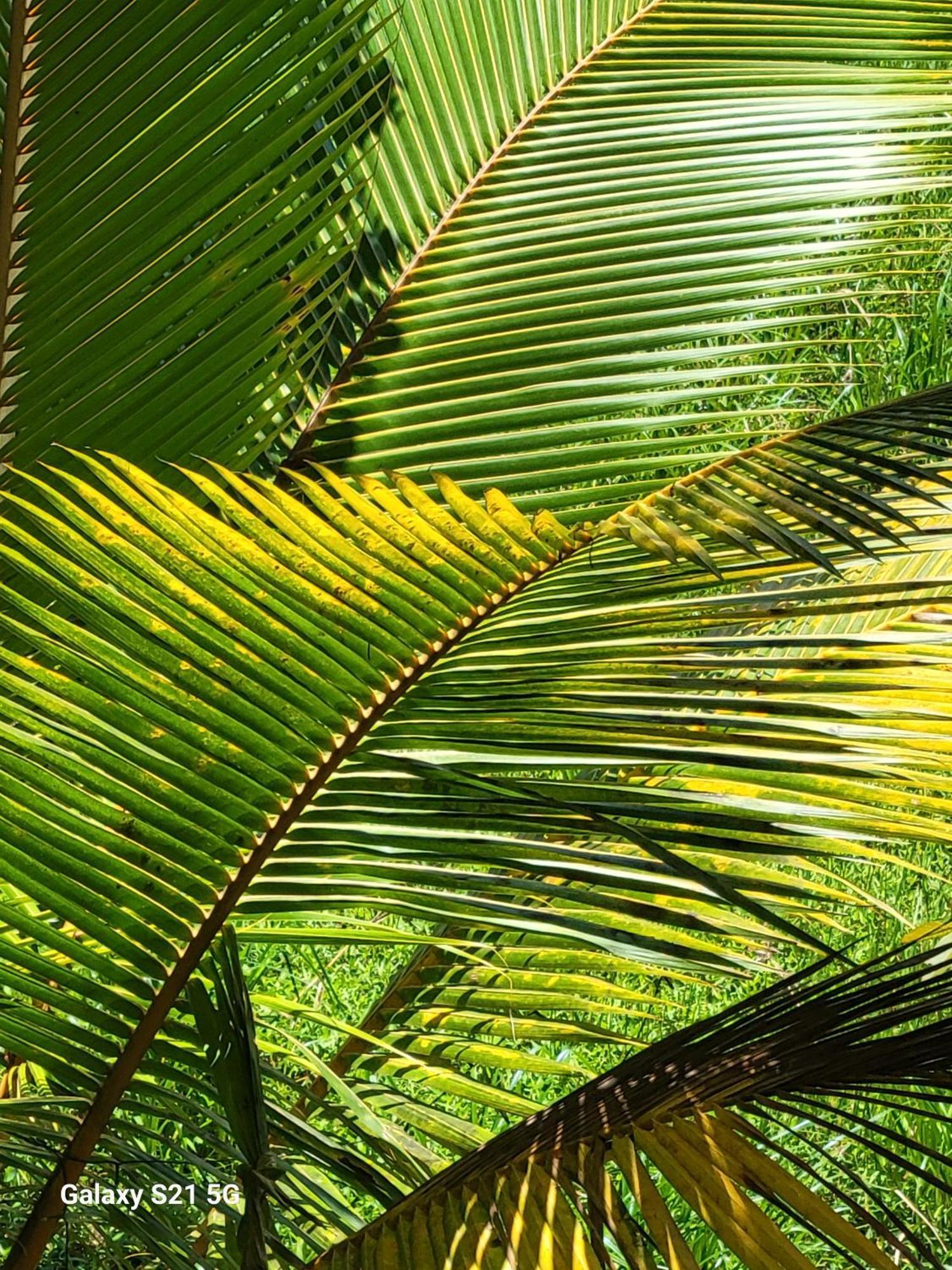 Barefoot Bungalow Hikka Hikkaduwa Esterno foto